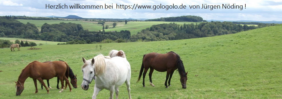 Datenschutz - gologolo.de